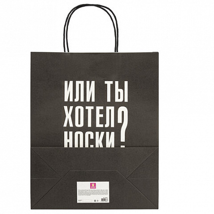 Пакет подарочный (1 штука) 26х13х32 см (L) "Man Funny Notes", ассорти, крафт, ЗОЛОТАЯ СКАЗКА, 700823