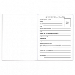 Дневник 1-11 класс 40 л., на скобе, ПИФАГОР, обложка картон, "Девочка", 106583