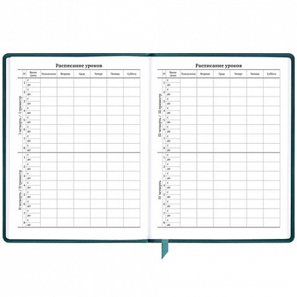 Дневник 1-11 класс 48 л., кожзам (твердая), печать, резинка, конверт, BRAUBERG, "Bright Lion", 106577