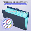 Папка-органайзер на кнопке 12 отделений, BRAUBERG "Extra", А4, синяя с голубым, 271933