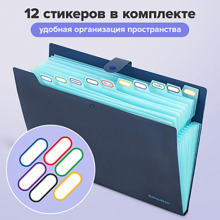 Папка-органайзер на кнопке 12 отделений, BRAUBERG "Extra", А4, синяя с голубым, 271933