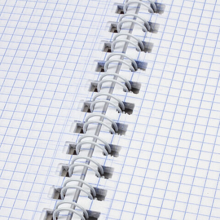 Тетрадь А4, 120 л., BRAUBERG, гребень, клетка, глянцевый лак, "Цветы", 405645