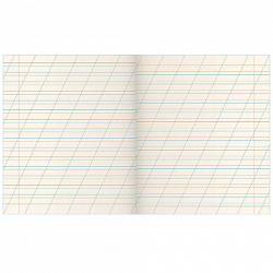 Тетрадь ЗЕЛЁНАЯ обложка 12 л., косая линия с полями, офсет № 2 ЭКОНОМ, "ПИФАГОР", 106725