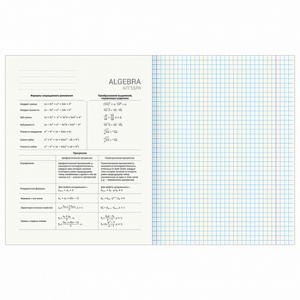 Тетради предметные, КОМПЛЕКТ 12 ПРЕДМЕТОВ, 48 л., обложка картон, BRAUBERG, "КЛАССИКА SCIENCE", 404843
