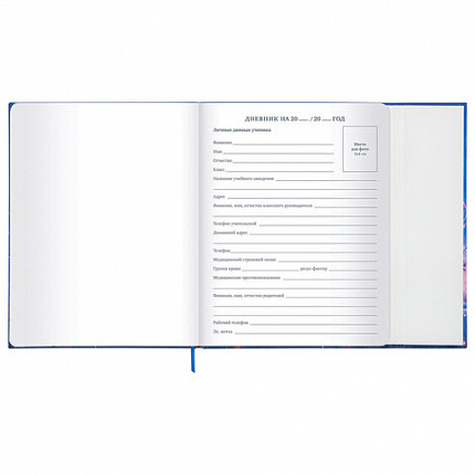 Дневник 1-11 класс 48 л., твердый, BRAUBERG, матовая ламинация, магнитный клапан, закладка-ляссе, с подсказом, "Magic", 107243