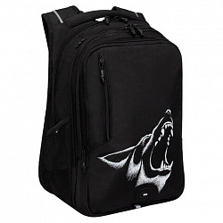 Рюкзак GRIZZLY школьный, анатомическая спинка, 3 отделения, для мальчиков, "ANGER", 42х31х22 см, RU-538-4/1