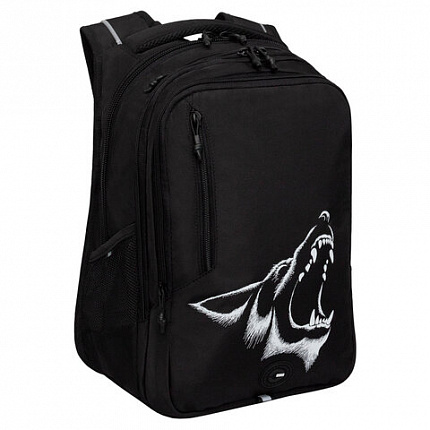 Рюкзак GRIZZLY школьный, анатомическая спинка, 3 отделения, для мальчиков, "ANGER", 42х31х22 см, RU-538-4/1