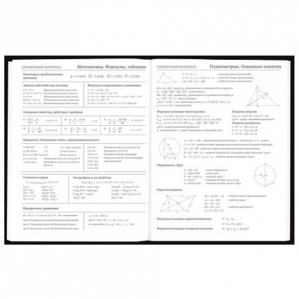 Дневник 5-11 класс 48 л., твердый, BRAUBERG, выборочный лак, с подсказом, "Dragon", 107195