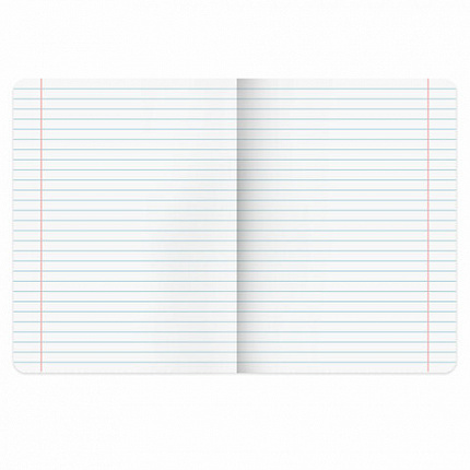 Тетради предметные, КОМПЛЕКТ 12 ПРЕДМЕТОВ, 48 л., TWIN лак, BRAUBERG "МЕМЫ", 405172