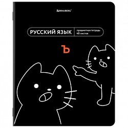 Тетрадь предметная МЕМЫ 48 л., TWIN-лак, РУССКИЙ ЯЗЫК, линия, подсказки, BRAUBERG, 405105