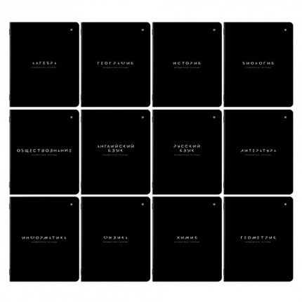 Тетради предметные, КОМПЛЕКТ 12 ПРЕДМЕТОВ 48 л., пластиковая обложка, BRAUBERG "BLACK MODE", 405541