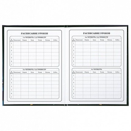 Дневник 1-4 класс 48 л., твердый, BRAUBERG, глянцевая ламинация, с подсказом, "CATS & DUCK", 106831