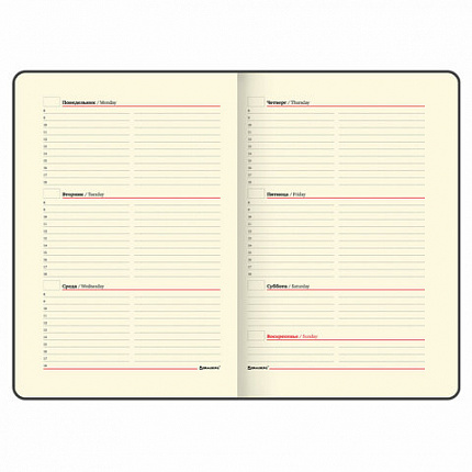 Еженедельник недатированный А5 145х215 мм, BRAUBERG "Iguana", под кожу, 64 л., черный, 114478