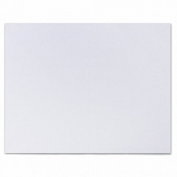 Холст на картоне BRAUBERG ART CLASSIC, 50х70 см, грунтованный, 100% хлопок, мелкое зерно, 191022