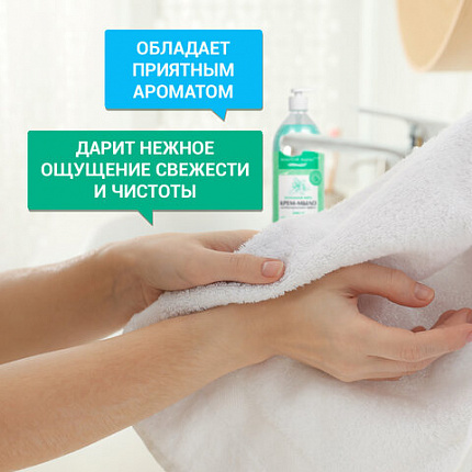 Мыло-крем жидкое с АНТИБАКТЕРИАЛЬНЫМ ЭФФЕКТОМ 1 л ЗОЛОТОЙ ИДЕАЛ "Холодная мята", дозатор, 608285