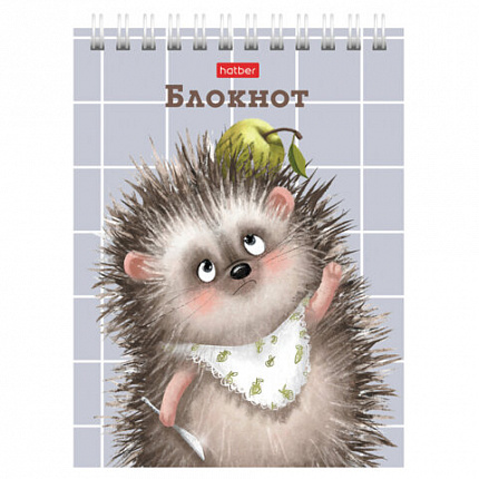 Блокнот МАЛЫЙ ФОРМАТ А6, 40 л., гребень, картон, клетка, HATBER, "Хорошо быть ёжиком", 080472, 40Б6В1гр