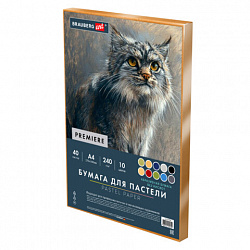 Бумага для пастели АБРАЗИВНАЯ А4 в коробке, 40 листов, 10 цветов, 240 г/м2, BRAUBERG ART, 117767