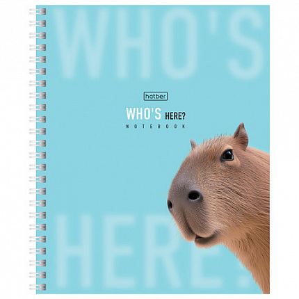 Тетрадь А5 48 л. HATBER гребень, клетка, Soft-touch ламинация, "Кто здесь?" (микс в спайке), 48Т5лВ1гр