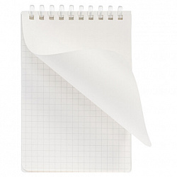 Блокнот МАЛЫЙ ФОРМАТ А6 80 л., мягкий гребень, пластик, фольга, клетка, HATBER, NATURAL LEAVES, 090242, 80Б6A1мс_33480