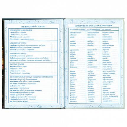 Дневник для музыкальной школы 140х210 мм, 48 л., твердый, BRAUBERG, справочный материал, "Концерт", 103279