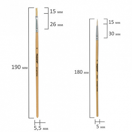 Кисти ПИФАГОР, набор 5 шт. (ПОНИ: круглые № 1, 4; КОЗА: круглые № 3, 6; ЩЕТИНА: плоская № 4), пакет с европодвесом, 200892