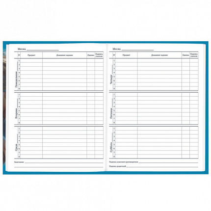 Дневник 1-11 класс 40 л., твердый, BRAUBERG, глянцевая ламинация, "Девушка с драконом", 107167