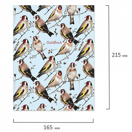 Тетрадь на кольцах А5 (165х215 мм), 120 листов, твердый картон, клетка, BRAUBERG, Щеглы, 404079