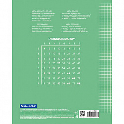 Тетрадь 12 л. BRAUBERG ЭКО "5-КА", клетка, обложка картон 170 г/м2, ЗЕЛЕНАЯ, 104759