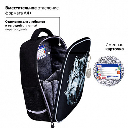 Ранец BRAUBERG LIGHT, 1 отделение, с брелком, "Серый волк", 36х26х13 см, 273111