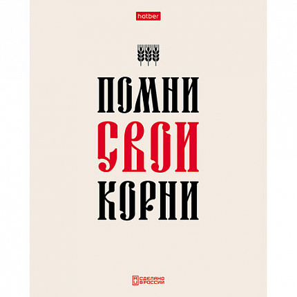 Тетрадь А5 48л. HATBER скоба, клетка, обложка картон, тиснение, Истинные истины (микс, 48Т5тВ1