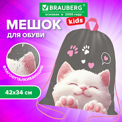 Мешок для обуви BRAUBERG KIDS, с петлей, 42х34 см, "Purr cat", 274640
