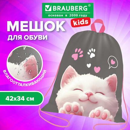 Мешок для обуви BRAUBERG KIDS, с петлей, 42х34 см, "Purr cat", 274640
