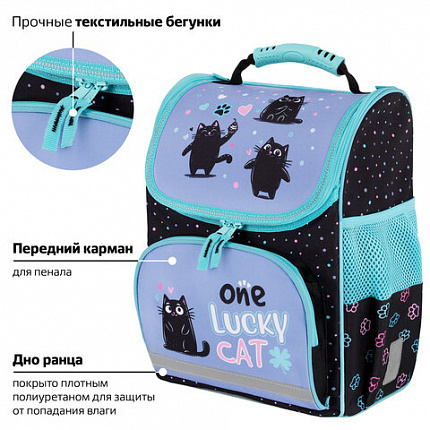 Ранец ПИФАГОР BASIC, 1 отделение, 3 кармана, эргономичная спинка, "Счастливые коты", 35х28х18 см, 273135