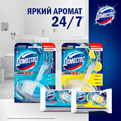 Блок туалетный подвесной твердый 40 г ДОМЕСТОС "Атлантик", основной блок