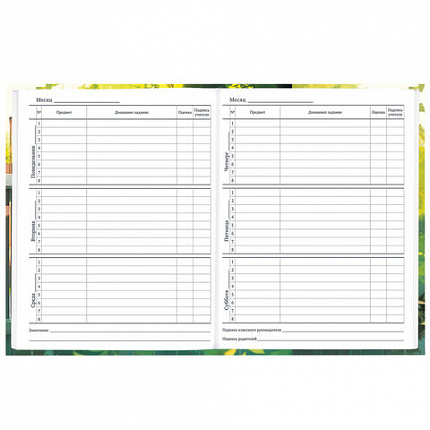 Дневник 1-11 класс 40 л., твердый, BRAUBERG, глянцевая ламинация, "Девочка и кот", 107166