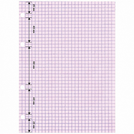 Сменный блок для тетради на кольцах, А5, 120 л., BRAUBERG, 4 цвета по 30 листов, 404614