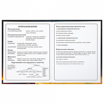 Дневник 1-4 класс 48 л., твердый, BRAUBERG, глянцевая ламинация, с подсказом, "Милый котик", 106835