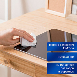 Салфетки для пластиковых поверхностей BRAUBERG, туба 100 шт., влажные, 510123