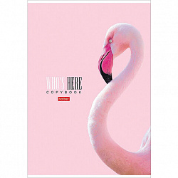 Тетрадь А4 96 л. HATBER скоба, клетка, матовая ламинация, "Кто здесь?" (микс), 066192, 96Т4лВ1