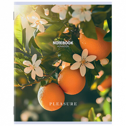 Тетрадь А5, 48 л., STAFF, скоба, клетка, офсет №2 ЭКОНОМ, обложка картон, ФЛОРА, 405626