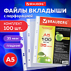 Папки-файлы МАЛОГО ФОРМАТА (148х210 мм), А5, ВЕРТИКАЛЬНЫЕ, КОМПЛЕКТ 100 шт., 35 мкм, BRAUBERG, 221714