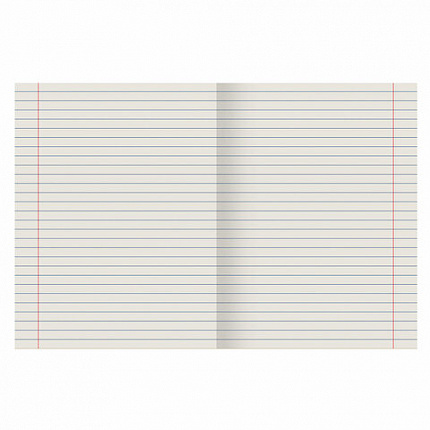 Тетрадь ЗЕЛЁНАЯ обложка 24 л., линия с полями, офсет №2 ЭКОНОМ, "ПИФАГОР", 107126