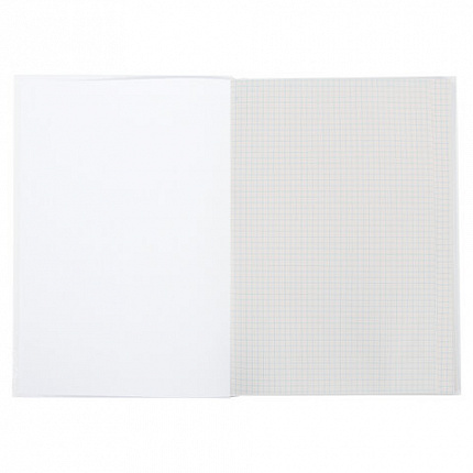 Книга учета 96 л., клетка, твердая, картон, глянцевая, типографский блок, А4 (200х290 мм), STAFF, 130220