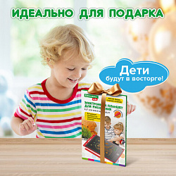 Электронный планшет для рисования диагональ 8,5 дюймов, 14,6х22,7 см, ЦВЕТНОЙ, BRAUBERG KIDS, 665301
