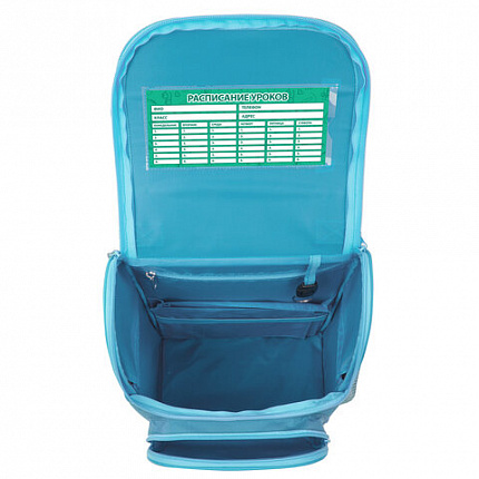 Ранец ПИФАГОР BASIC, 1 отделение, 3 кармана, эргономичная спинка, "Funny cats", 35х28х18 см, 273135