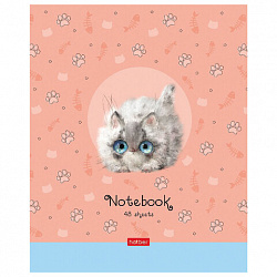 Тетрадь А5 48 л. HATBER скоба, клетка, обложка картон, "Кошарики" (микс в спайке), 075302, 48Т5В1