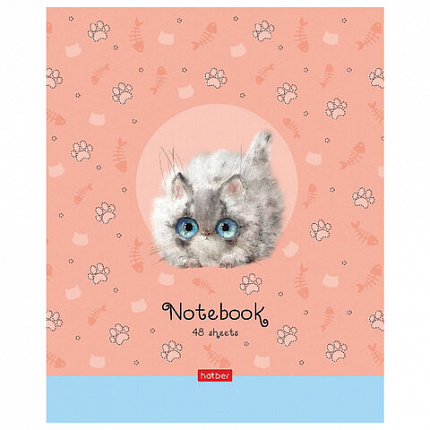 Тетрадь А5 48 л. HATBER скоба, клетка, обложка картон, "Кошарики" (5 видов в спайке), 48Т5В1