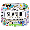 Драже освежающие SCANDIC без сахара со вкусом "Тропический микс", 14 г
