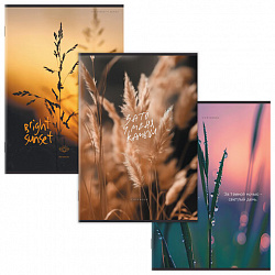 Тетрадь А4 80 л. STAFF "College" скоба, клетка, офсет №2 ЭКОНОМ, обложка картон, ЭСТЕТИКА, 405617