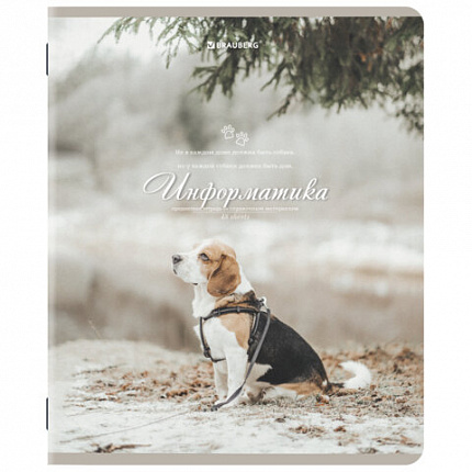 Тетради предметные, КОМПЛЕКТ 12 ПРЕДМЕТОВ, 48 л., SoftTouch, BRAUBERG, "ESTHETICS", 404833